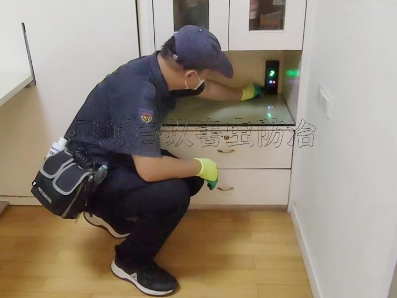 惠州專業(yè)殺蟲除蟻公司，惠州專業(yè)除四害公司，惠州滅蚊滅蟑螂公司，