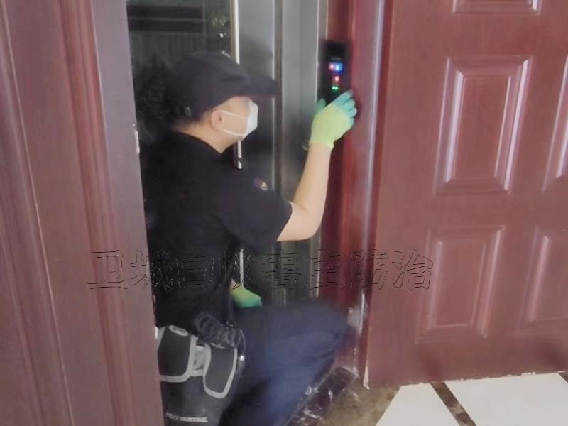 惠州專業除蟲公司，惠州消殺公司，惠州除四害公司，惠州滅鼠公司