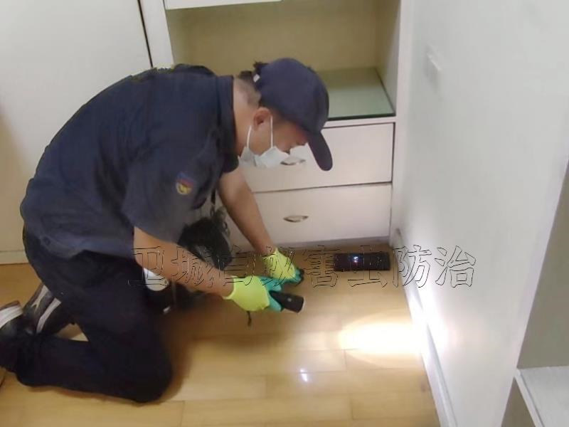 惠陽白蟻防治公司 ，惠陽沙田白蟻防治，惠陽沙田滅白蟻