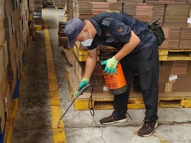 惠城馬安白蟻防治公司,水口消殺白螞蟻 惠城馬安白蟻防治公司,水口消殺白螞蟻