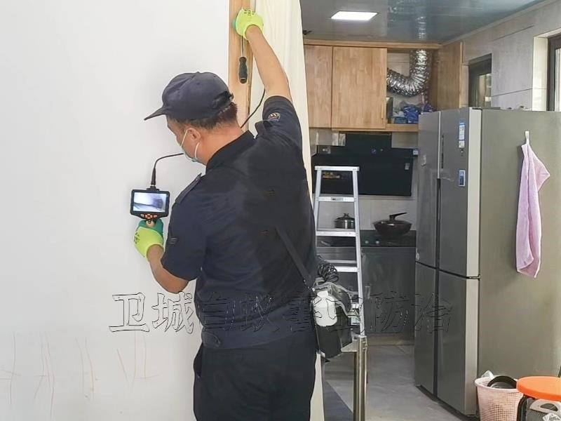 惠州白蟻防治中心，陳江、仲愷滅白蟻