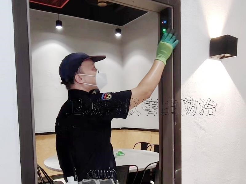 博羅小區(qū)白蟻防治-滅白蟻電話-白蟻防治中心