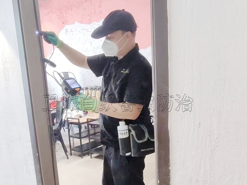 惠州殺滅蟑螂,惠城滅鼠除四害公司專業資質