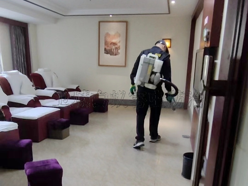 惠州工廠滅臭蟲服務周到|宿舍床板吸血臭蟲防治|惠州殺臭蟲公司