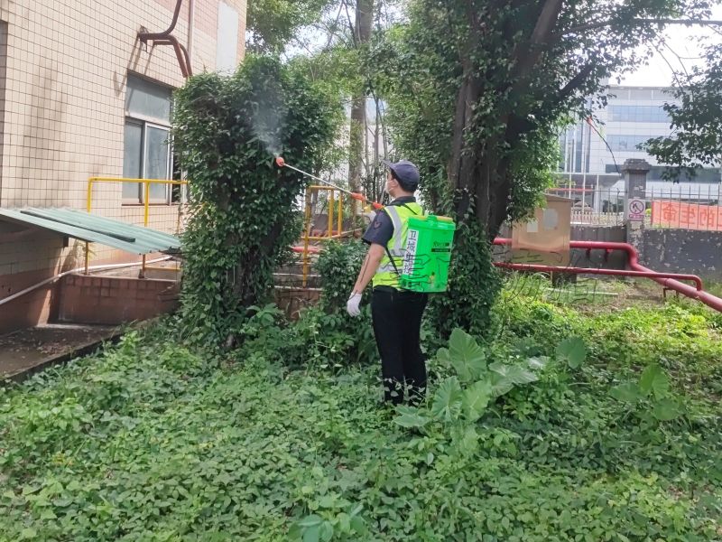 惠州殺臭蟲公司