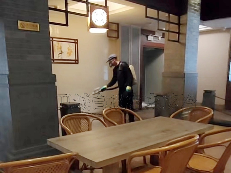 淡水殺臭蟲,大亞灣殺跳蚤公司,秋長白蟻防治所