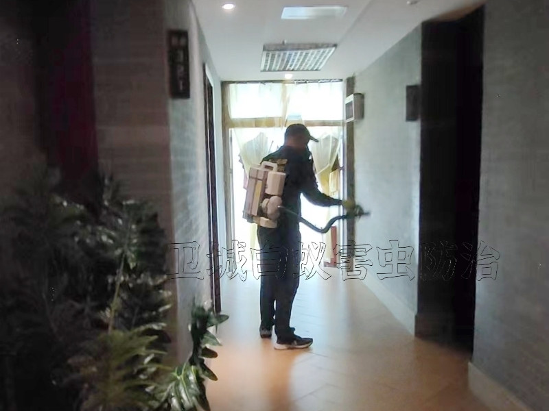 淡水殺臭蟲,大亞灣殺跳蚤公司,秋長白蟻防治所 淡水殺臭蟲,大亞灣殺跳蚤公司,秋長白蟻防治所