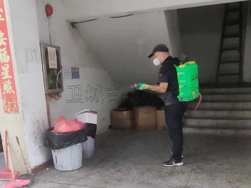 水口殺臭蟲,小金口除蟲公司,馬安除四害