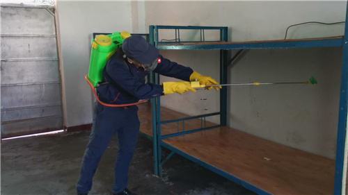 水口殺臭蟲，小金口除蟲公司，馬安除四害