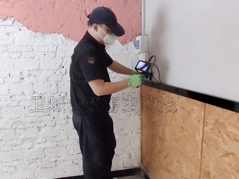 白蟻危害電纜檢測法電纜表面噴涂含藥涂料-惠州白蟻預防,惠州滅白蟻公