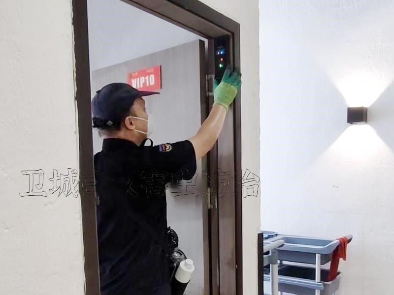 惠州白蟻預(yù)防，惠州滅白蟻公司