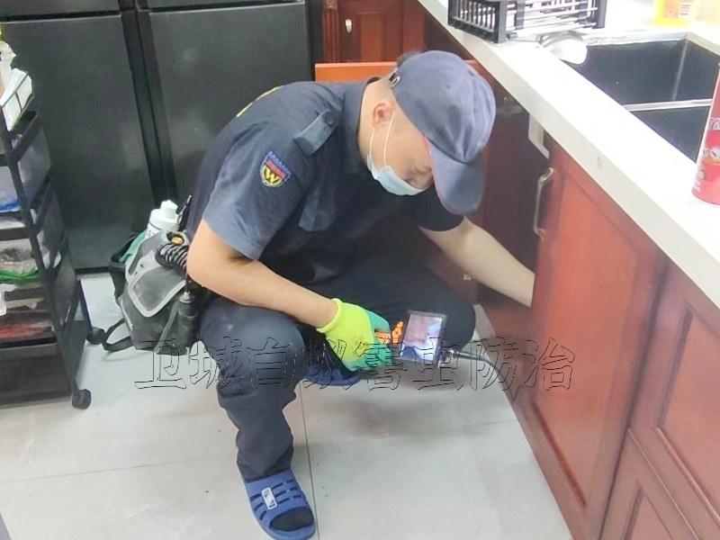 惠州白蟻防治中心-白蟻室外巢的位置