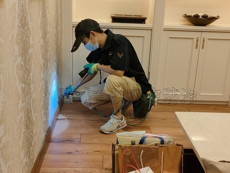 惠州東江學(xué)府治白蟻,滅白蟻,除白蟻工程