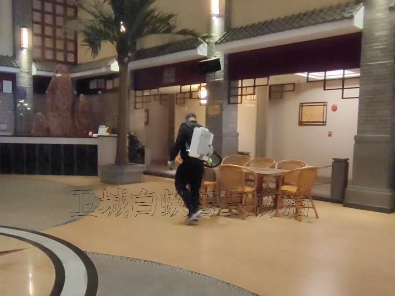 惠州殺蟲公司，惠州殺臭蟲