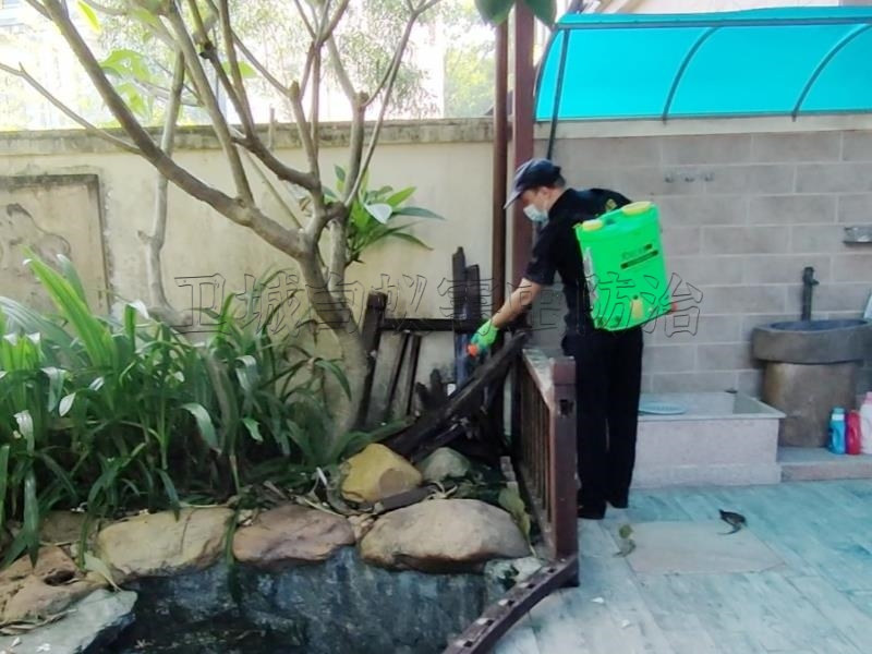 惠州白蟻防治公司-惠州滅白蟻