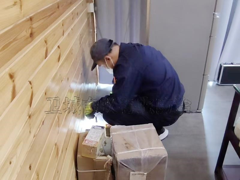 淺談白蟻的生物特性-惠州白蟻預防|惠城防治白蟻|殺白蟻|滅白螞蟻