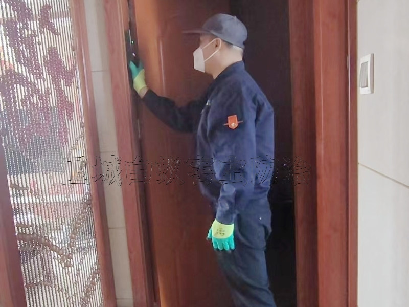 惠州白蟻防治站-白蟻防治中心-滅白蟻專家