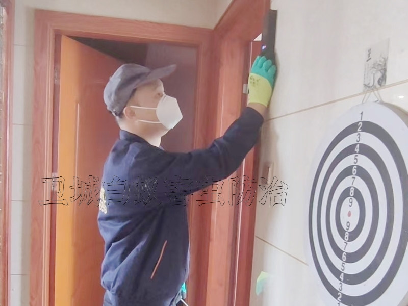 惠州白蟻防治站-白蟻防治中心-滅白蟻專家