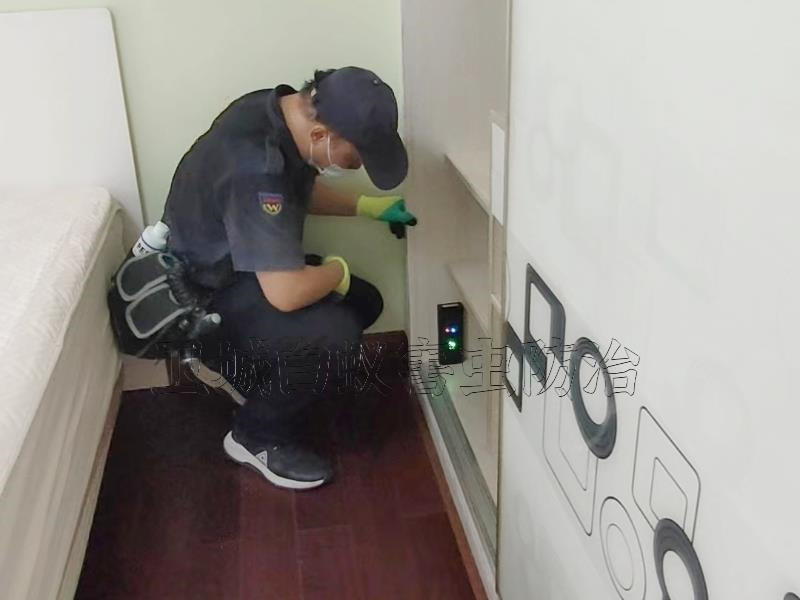 惠州哪里有專門殺臭蟲的公司？-惠州殺臭蟲