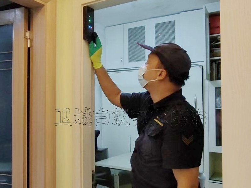 陳江白蟻防治中心,陳江滅白蟻,陳江防白蟻,陳江治白蟻殺白蟻