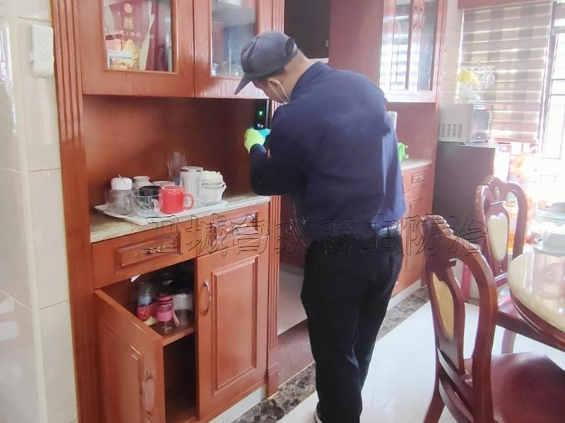 惠州白蟻防治，惠州滅除白蟻公司