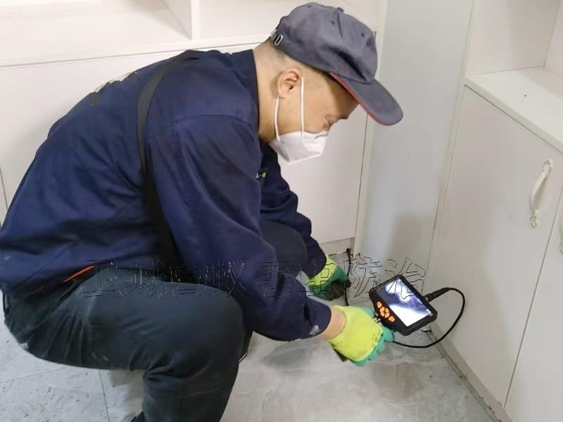 新房裝修裝璜白蟻預防,惠州白蟻防治公司