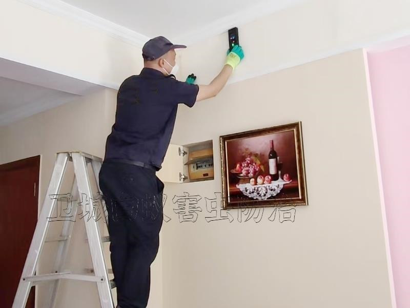 惠州白蟻防治站，惠城滅除白蟻公司（衛城服務質量好）