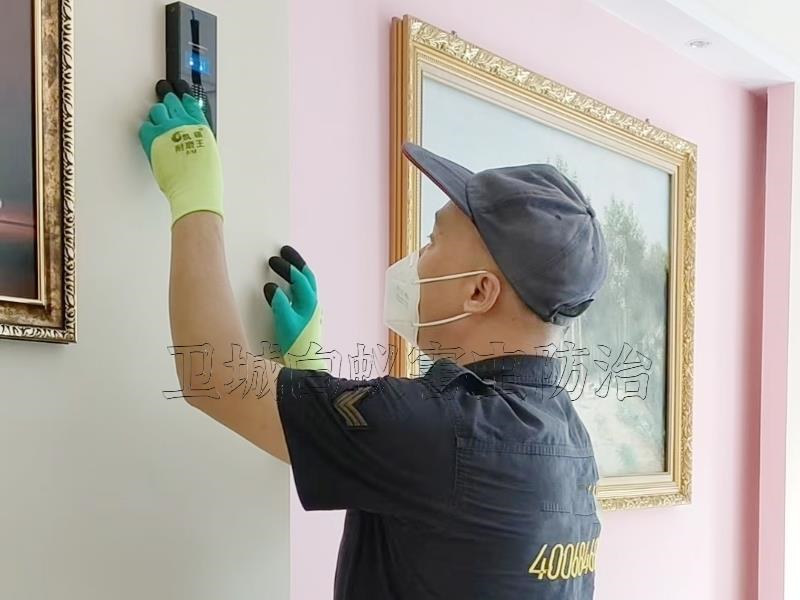 惠州東平白蟻防治，東平滅白蟻公司