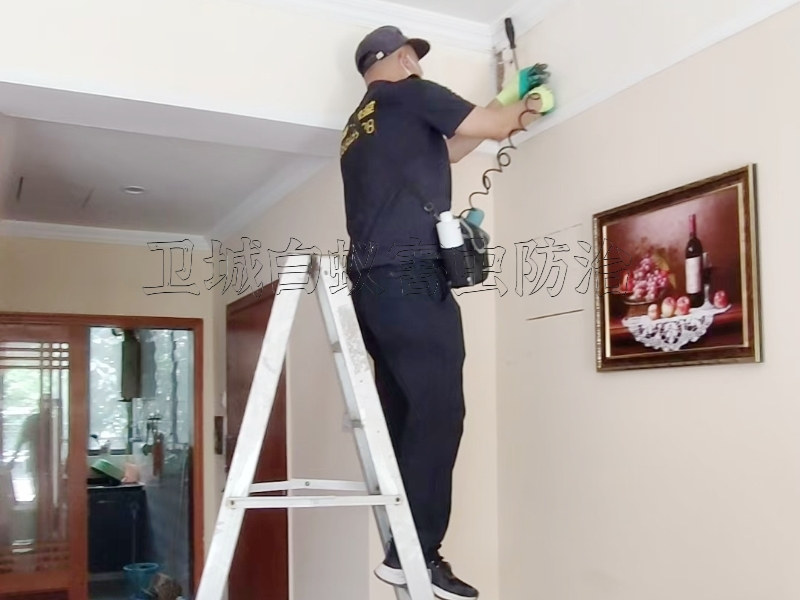 惠州淡水白蟻防治專家丨惠陽淡水消滅白蟻一次永不復(fù)發(fā)