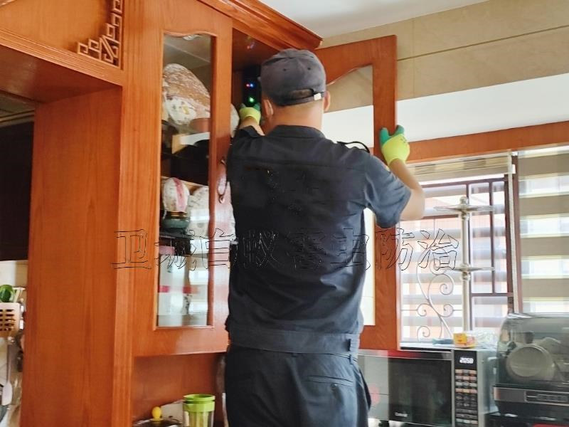 惠州淡水白蟻防治專家,淡水滅除白蟻 惠州淡水白蟻防治專家,淡水滅除白蟻