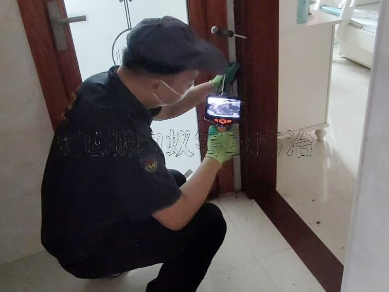 博羅白蟻防治價(jià)格收費(fèi)標(biāo)準(zhǔn),給新建房屋裝修業(yè)主的一些白蟻預(yù)防建議