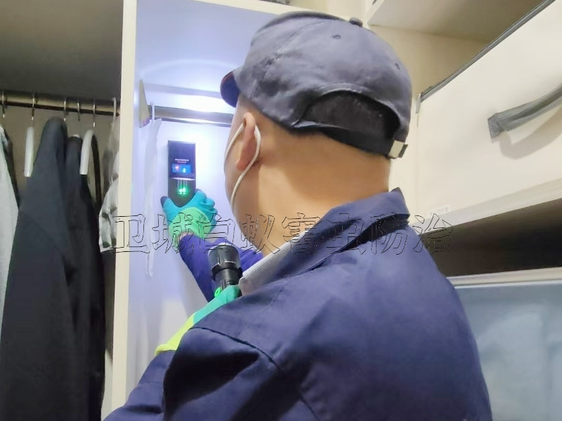 東莞白蟻防治中心,東莞白蟻防治站,東莞消殺白蟻公司