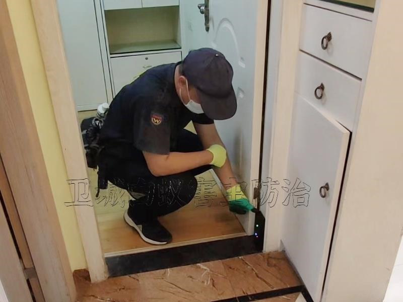 寮步白蟻防治中心，寮步白蟻防治所｛衛城公司一對一專注服務｝