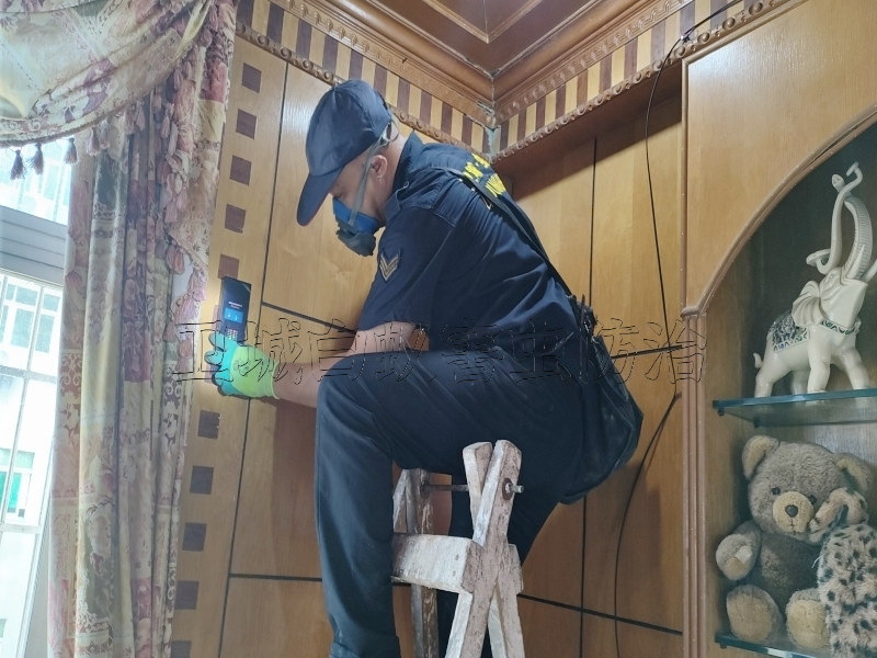 惠州白蟻防治公司收費(fèi)標(biāo)準(zhǔn)