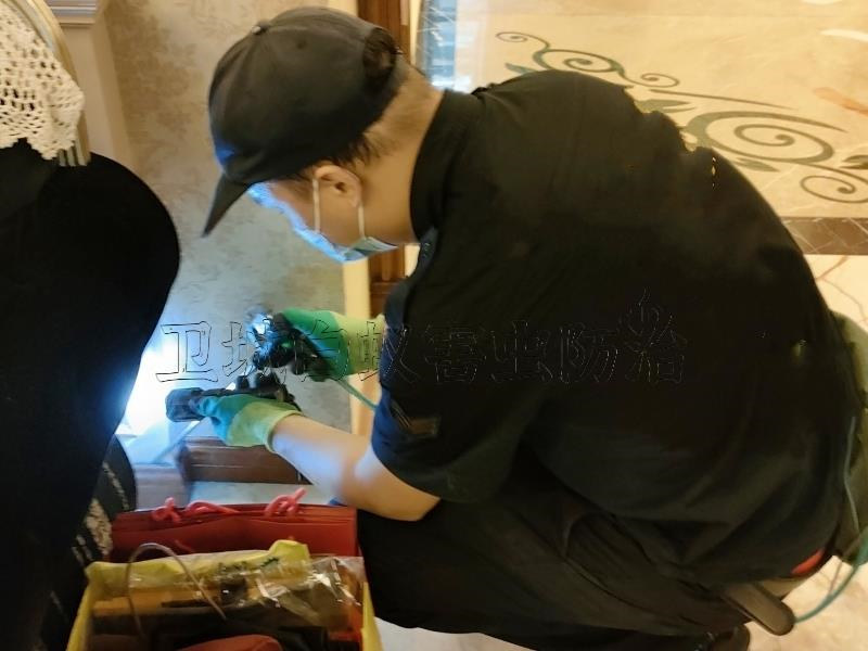 廣州南沙白蟻防治中心，南沙消殺白蟻公司