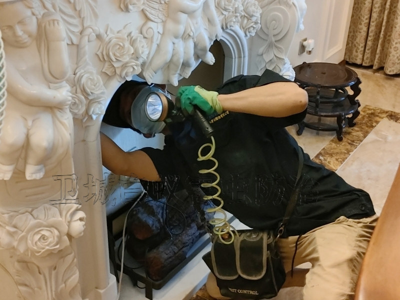 白云區(qū)白蟻防治，白蟻區(qū)滅白蟻公司衛(wèi)城一對一服務(wù)跟進