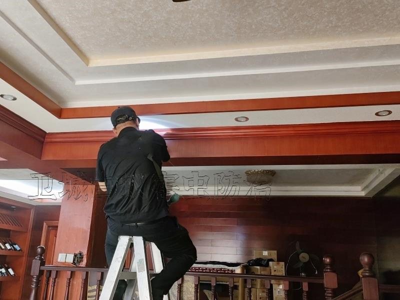 龍華白蟻防治中心,龍華滅白蟻 龍華白蟻防治中心,龍華滅白蟻