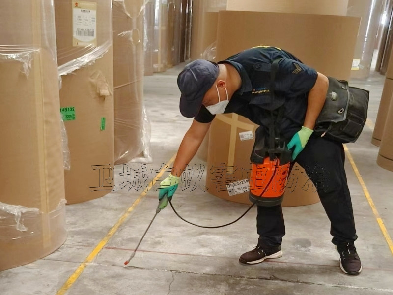 坂田白蟻防治，布吉滅白蟻公司