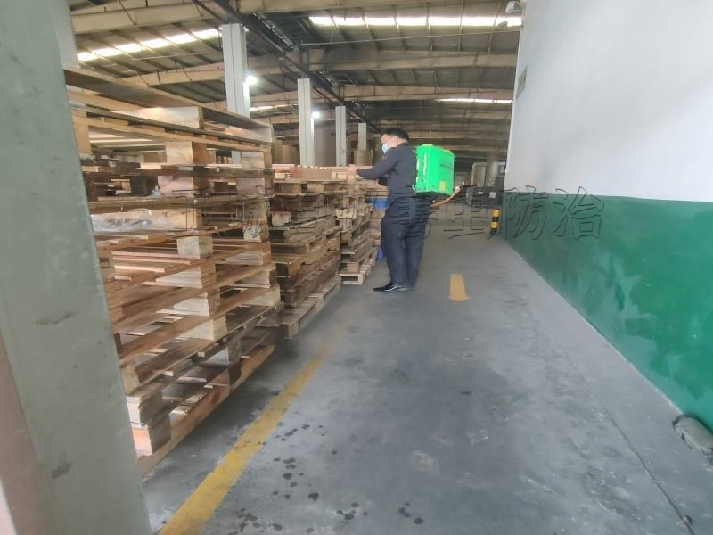 平湖滅白蟻公司這家價格最低-衛城白蟻害蟲防治有限公司