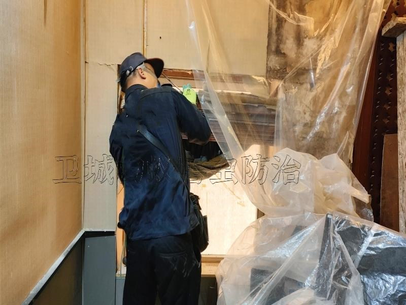 龍華白蟻防治中心，布吉滅除白蟻公司