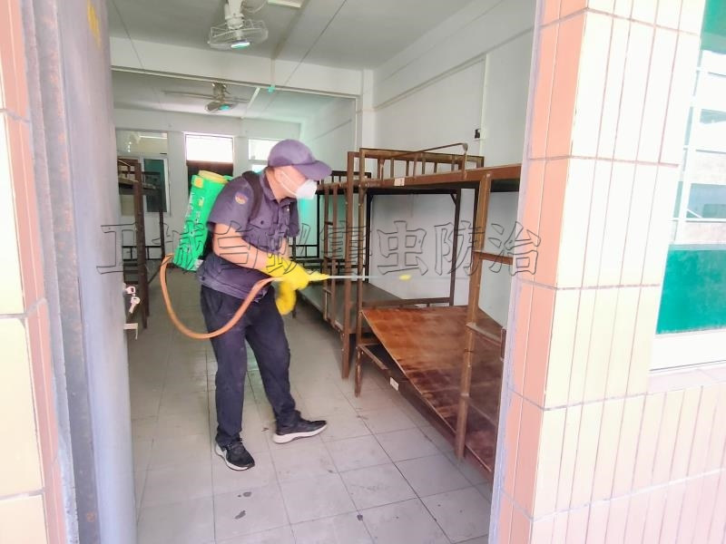 淡水殺臭蟲,秋長大亞灣滅殺跳蚤公司 淡水殺臭蟲,秋長大亞灣滅殺跳蚤公司