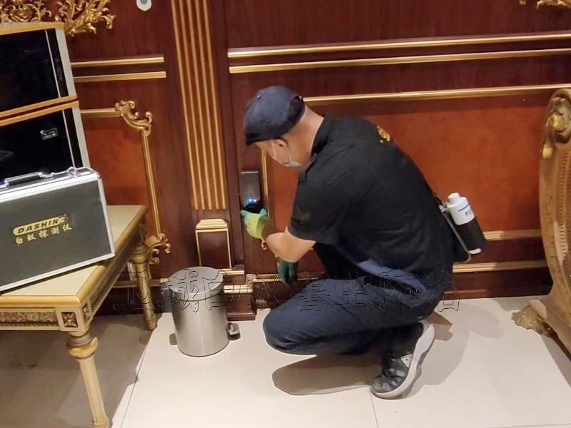 白蟻危害觸目驚心 現代建筑必須防患-惠州防治白蟻