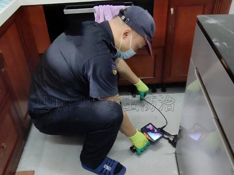 龍溪白蟻防治中心，園洲白蟻防治站，石灣滅殺白蟻優質推薦