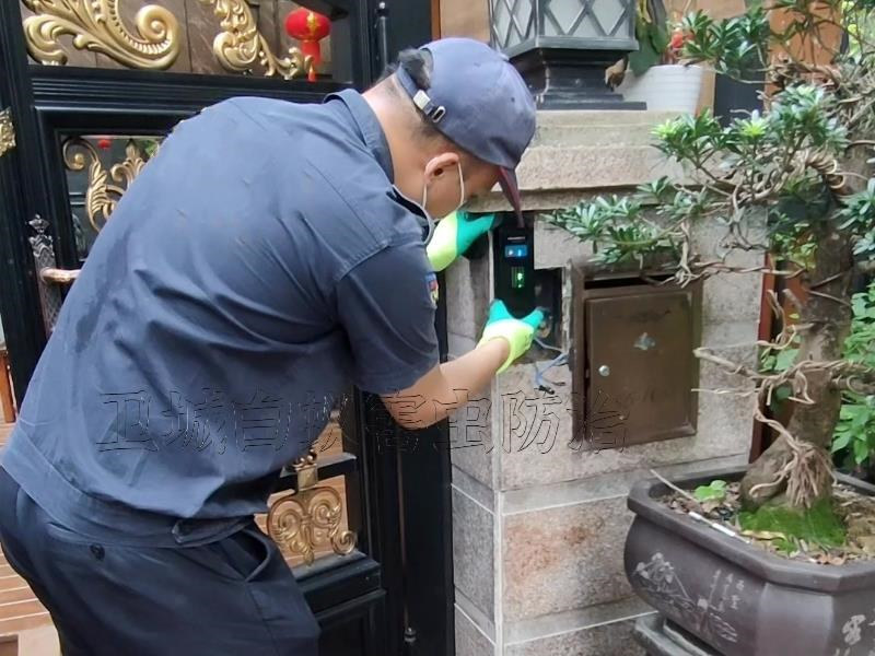 博羅白蟻防治中心，博羅白蟻防治站，博羅裝修防白蟻