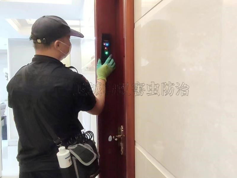 仲愷/陳江專業滅白蟻公司（資質認證企業）