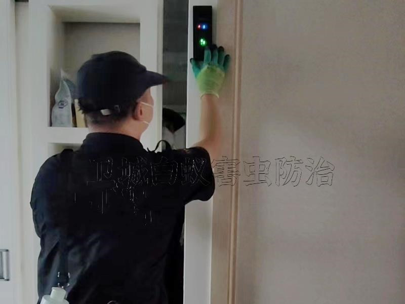 惠城馬安白蟻防治公司，水口消殺白螞蟻一次滅干凈！